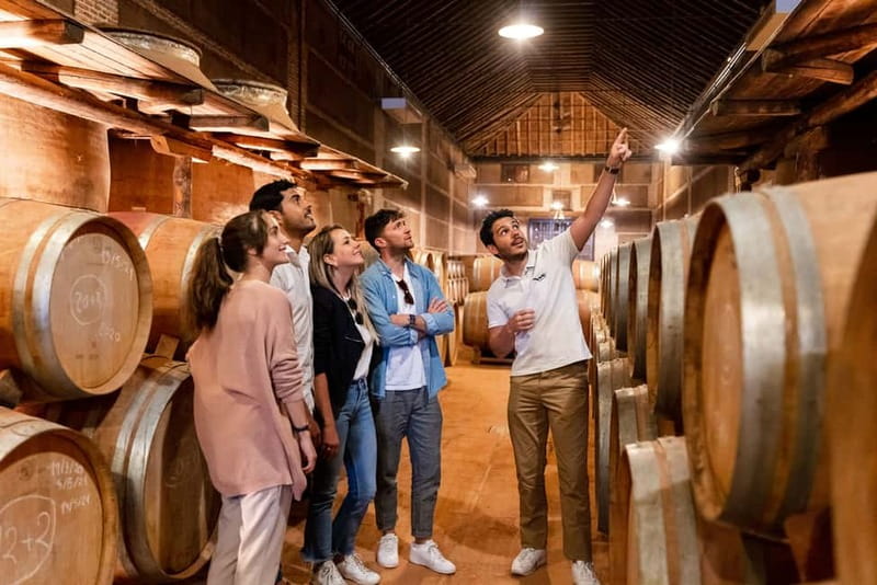 From Madrid: Toledo Guided Tour & Winery Visit with Tasting - Walking through the Jewish Quarter and convent district