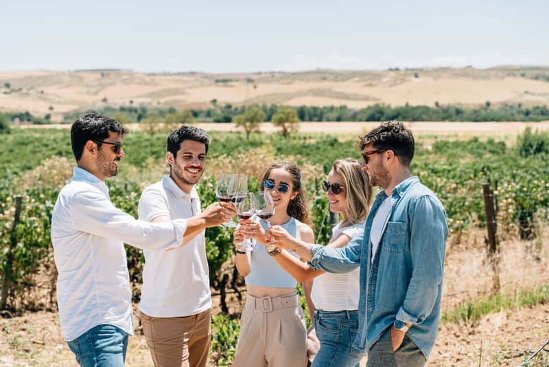 From Madrid: Toledo Guided Tour & Winery Visit with Tasting - The Mirador del Valle viewpoint