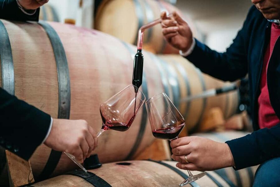 From Makarska Riviera : Wine Tasting Grabovac Tour - Is $79 a fair price?