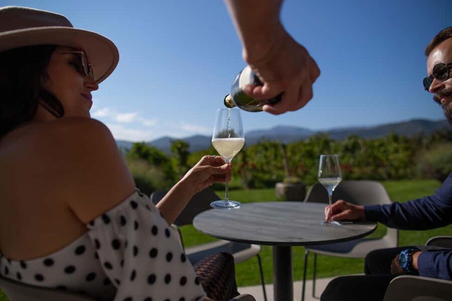 From Makarska Riviera : Wine Tasting Grabovac Tour - Should you book the Grabovac wine tour?
