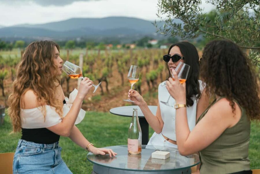 From Makarska Riviera : Wine Tasting Grabovac Tour - Grabovac Winery feels personal, not industrial