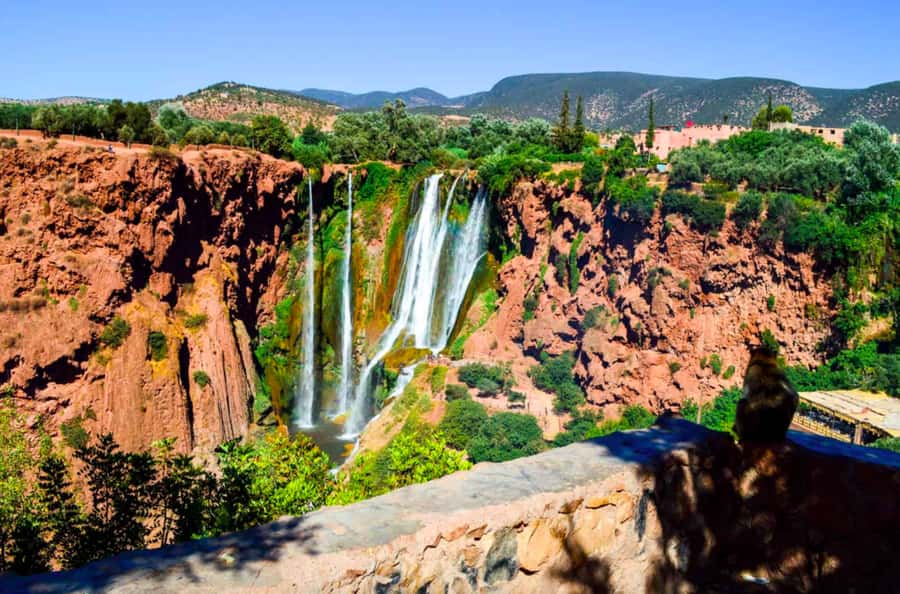 From Marrakech: Guided Ouzoud Waterfalls Tour with Boat Ride - The walk to the lower viewpoints