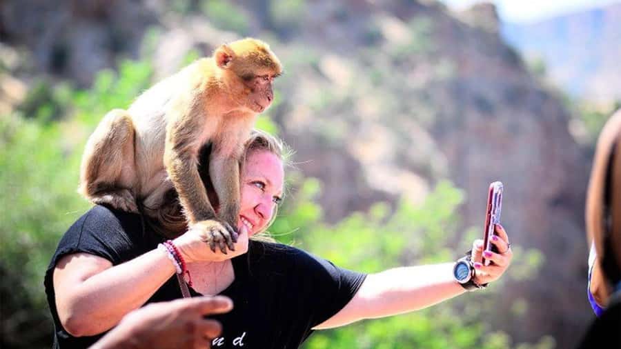 From Marrakech: Ouzoud Waterfalls Guided Hike and Boat Tour - Key points to know before booking