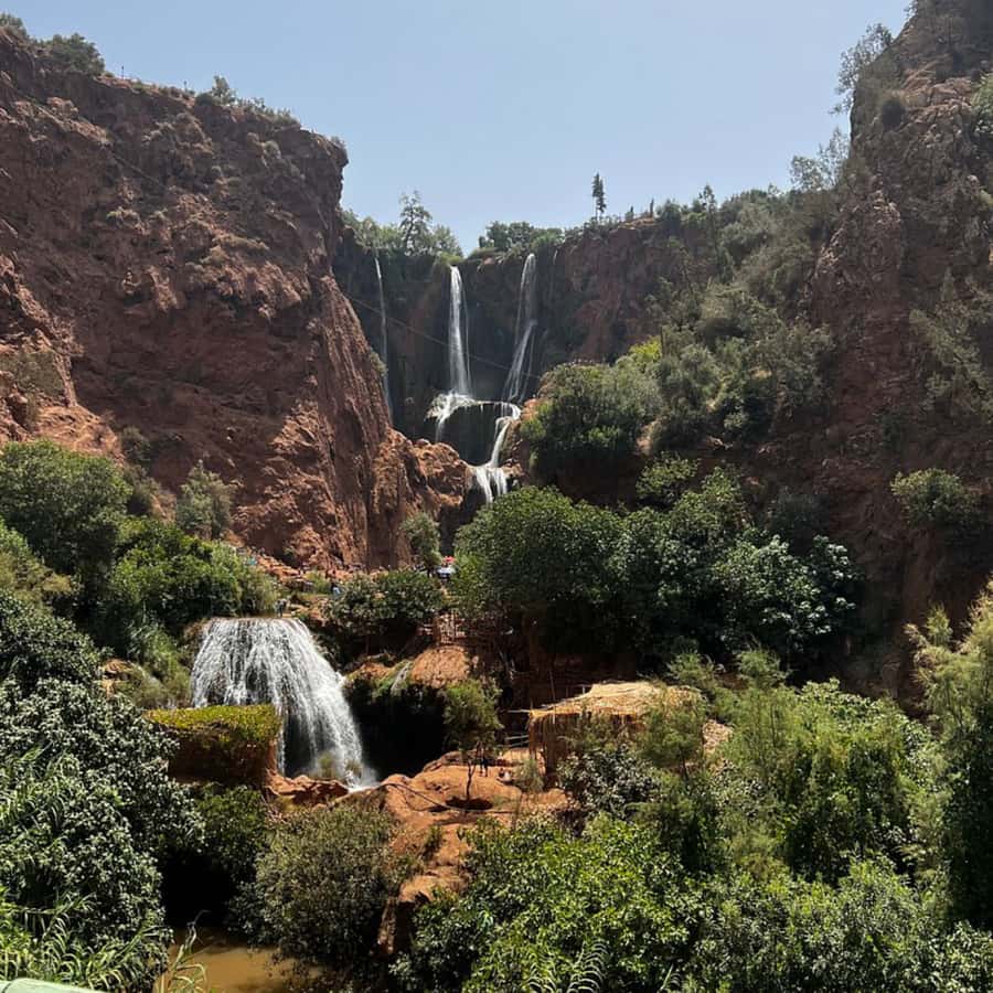 From Marrakech: Ouzoud Waterfalls Guided Tour and Boat Ride - Monkeys, birds, and olive trees