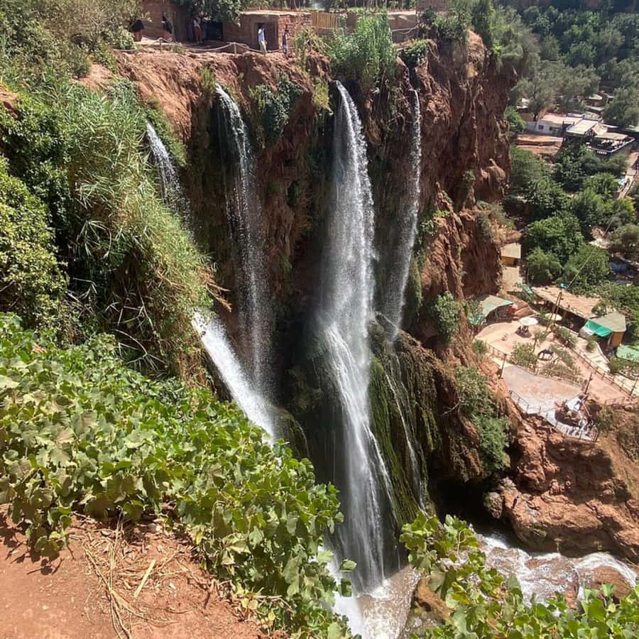 From Marrakech: Ouzoud Waterfalls Guided Tour and Boat Ride - Swimming, boat rides, and the riverside meal