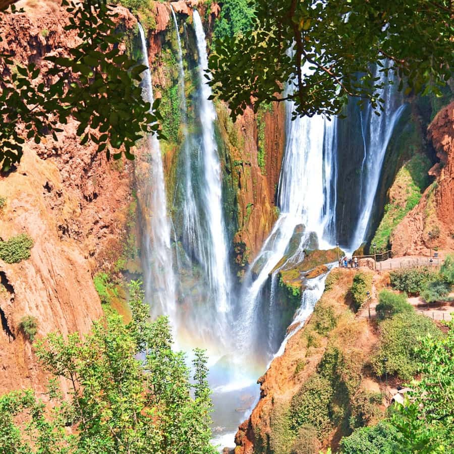 From Marrakech: Ouzoud Waterfalls Guided Tour and Boat Ride - What the $22 price really buys you