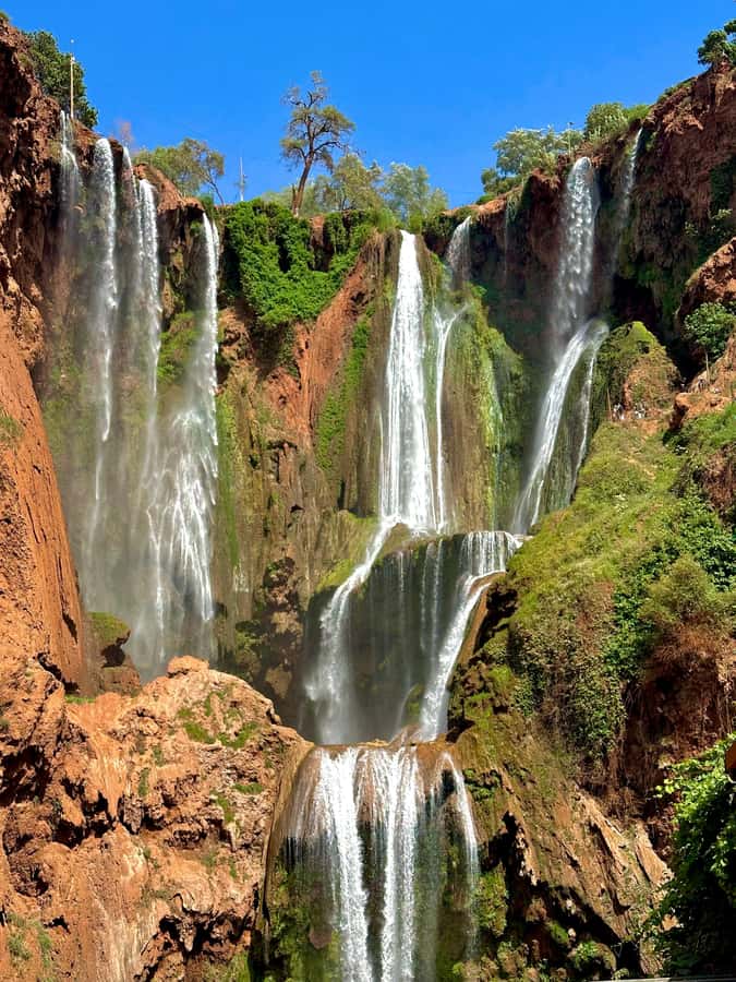 From Marrakech: Ouzoud Waterfalls guided trip with boat ride - What the $13 price really gives you
