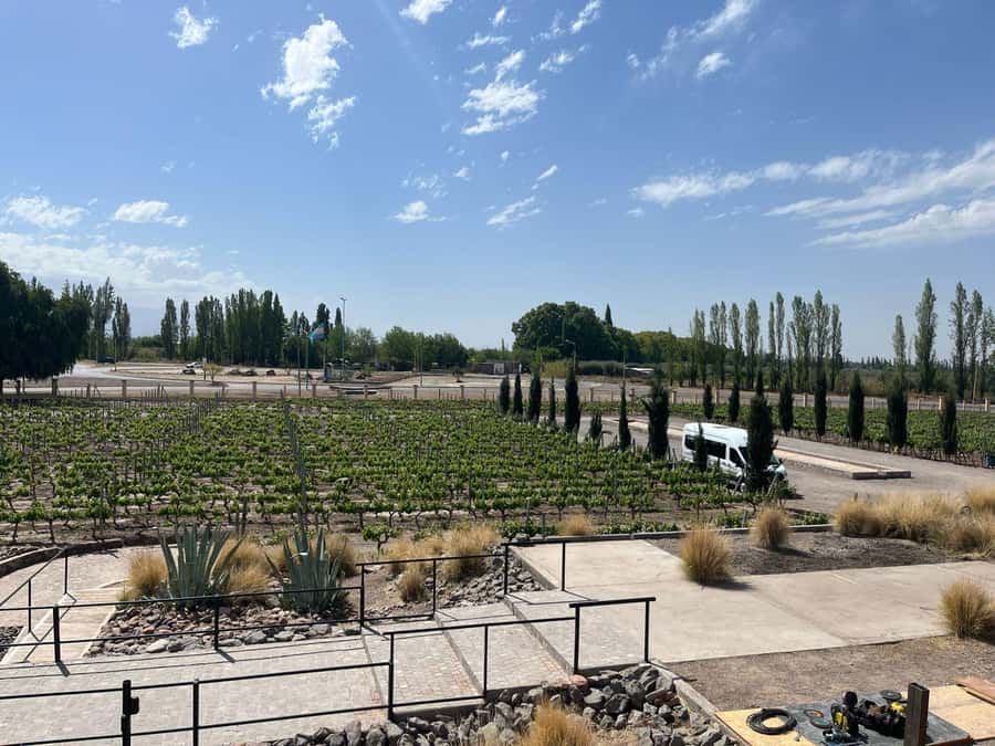 From Mendoza: 3 Wineries, Olive Oil Factory Tour & Tasting - Why Maipú works well for a first wine tour