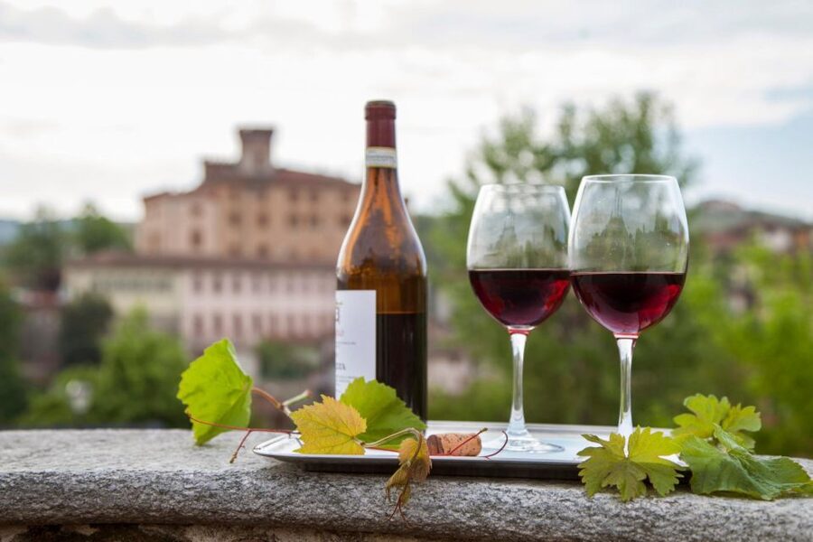 From Milan: Barolo Wine Tasting, Alba Tour and Castle Visit - Why the guides matter
