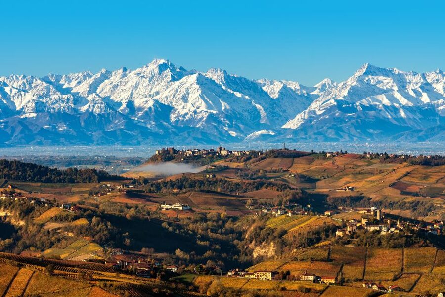 From Milan: Barolo Wine Tasting, Alba Tour and Castle Visit - Alba, a good first taste of Piedmont