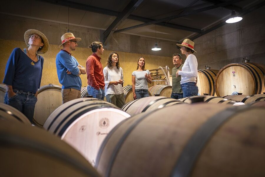 From Montpellier: Half-Day Vineyard & Pic Saint-Loup Tour - Practical tips before you go