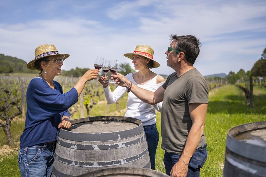 From Montpellier: Half-Day Vineyard & Pic Saint-Loup Tour - Leaving Montpellier for Pic Saint-Loup