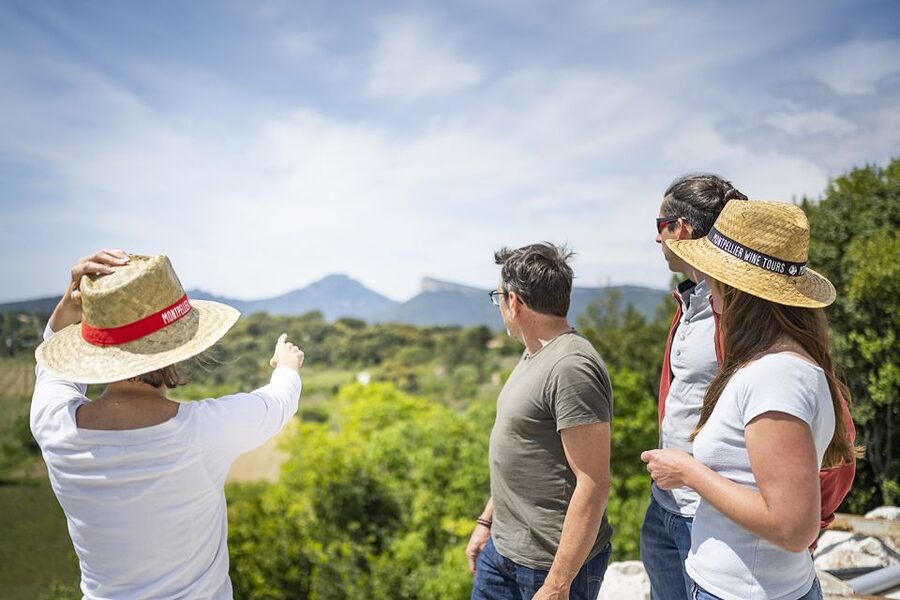 From Montpellier: Half-Day Vineyard & Pic Saint-Loup Tour - A short transfer, then a second point of view