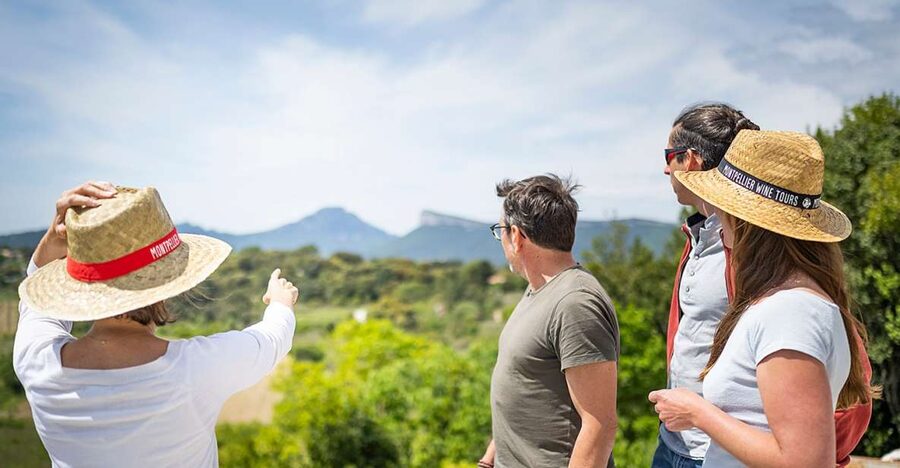 From Montpellier: Half-Day Vineyard & Pic Saint-Loup Tour - Returning to Montpellier in a compact four hours