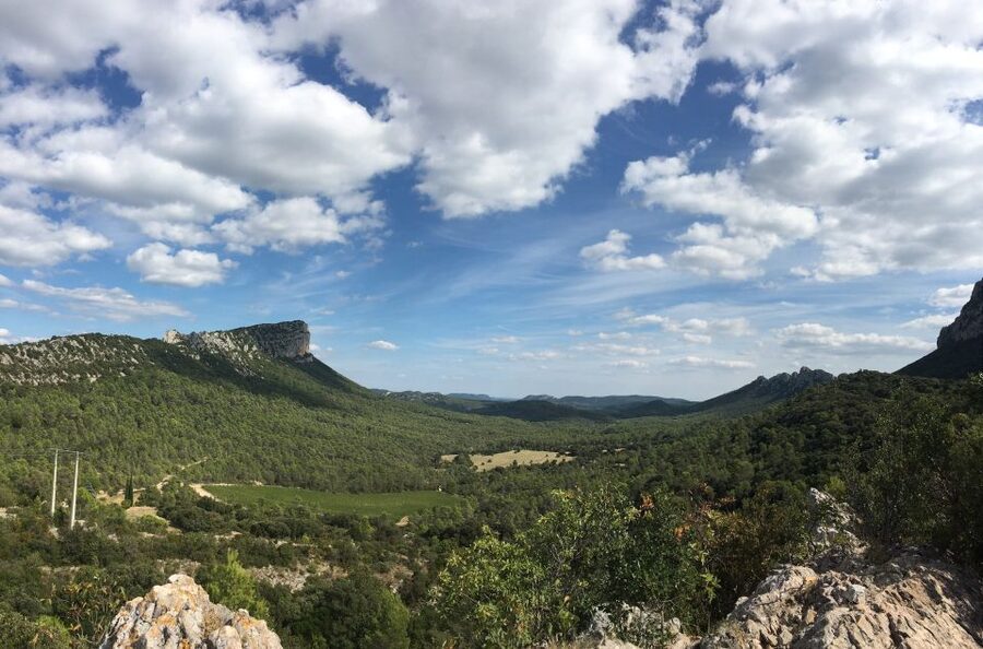 From Montpellier: Half-Day Vineyard & Pic Saint-Loup Tour - Is $93 a fair price?