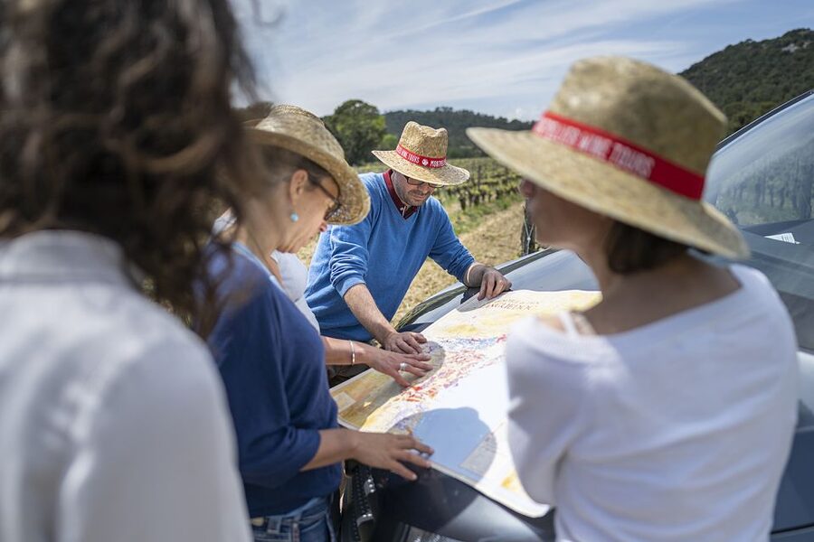 From Montpellier: Half-Day Vineyard & Pic Saint-Loup Tour - Who will get the most from this tour?