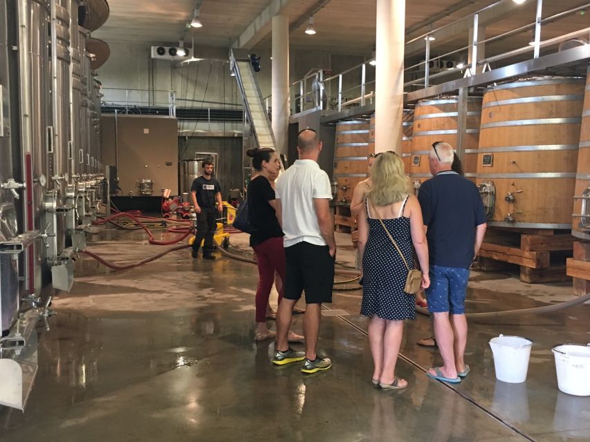 From Montpellier: Half-Day Vineyard & Pic Saint-Loup Tour - First estate: from vines to finished wine