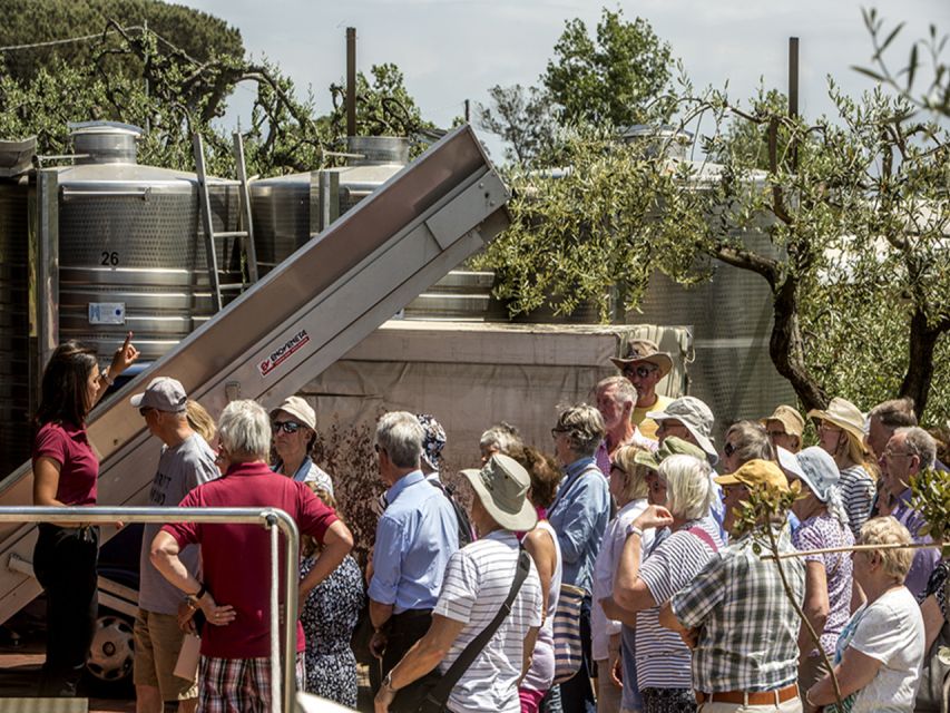 From Naples: Pompeii and Wine Tasting Tour with Lunch - Pompeii First, Wine Second