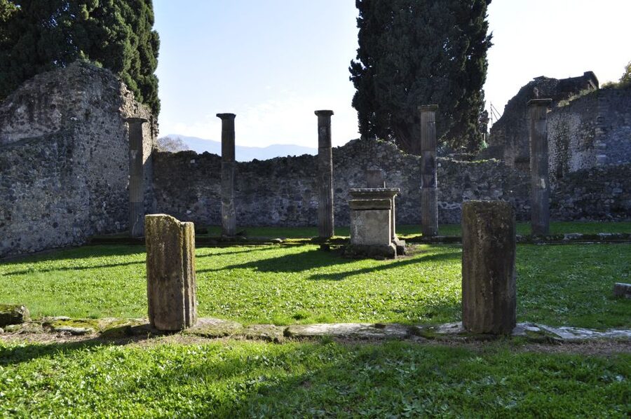 From Naples: Pompeii and Wine Tasting Tour with Lunch - Why the Lunch Matters
