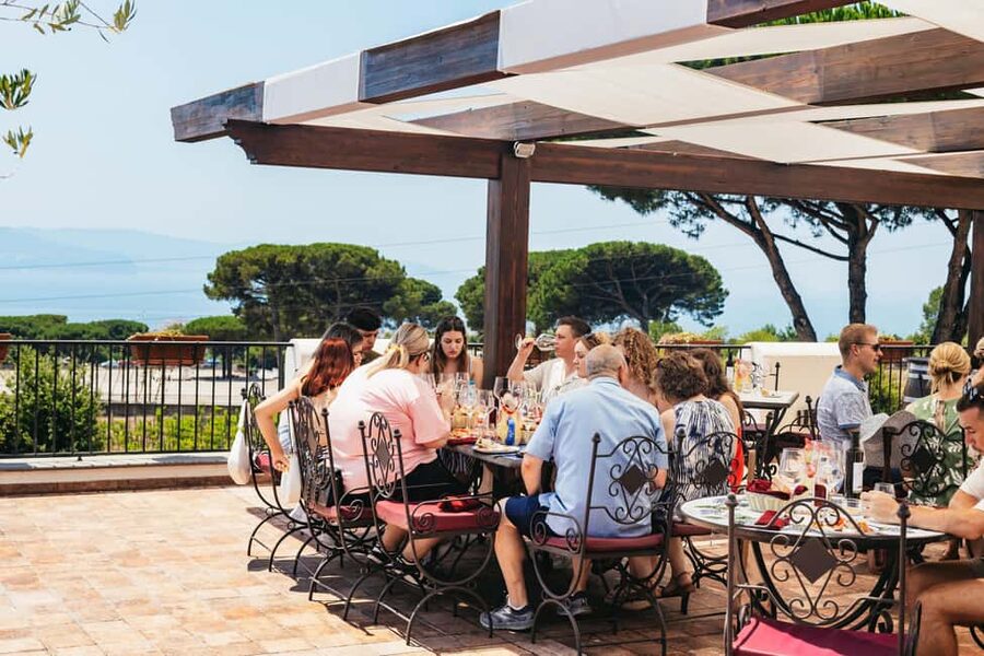 From Naples: Wine Tasting Tour on Vesuvius Slopes with Lunch - Key points to know before booking