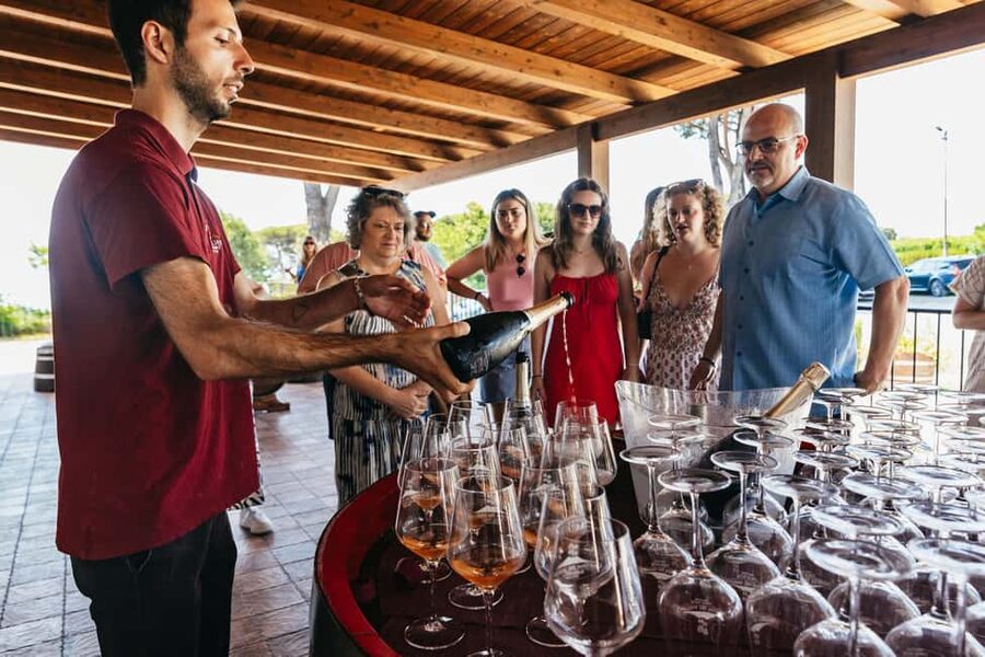 From Naples: Wine Tasting Tour on Vesuvius Slopes with Lunch - What you may taste