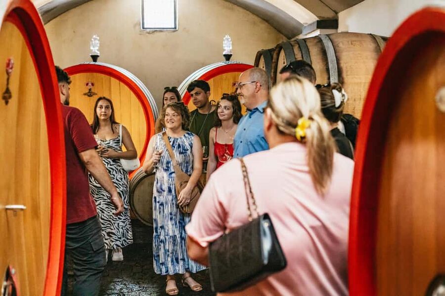From Naples: Wine Tasting Tour on Vesuvius Slopes with Lunch - Time to browse and buy
