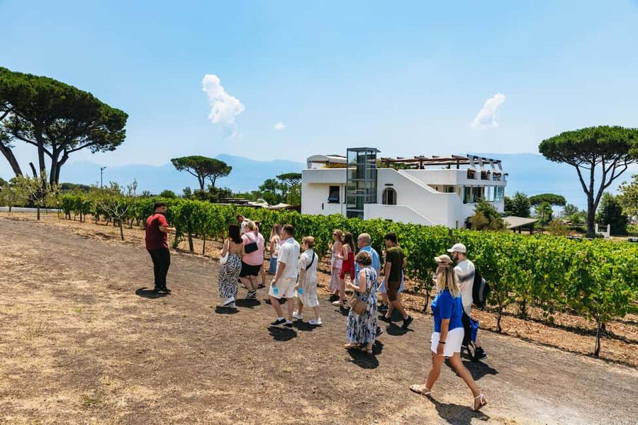 From Naples: Wine Tasting Tour on Vesuvius Slopes with Lunch - How the four hours usually feel