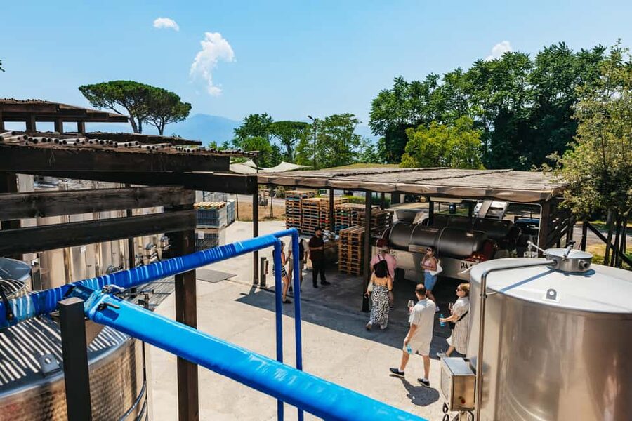 From Naples: Wine Tasting Tour on Vesuvius Slopes with Lunch - Should you book this Vesuvius wine tour?