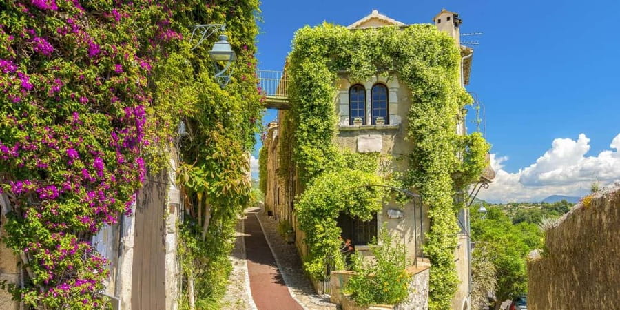 From Nice: Cannes, Saint Paul de Vence and Wine Tasting - Cannes: the red carpet and the Boulevard de la Croisette