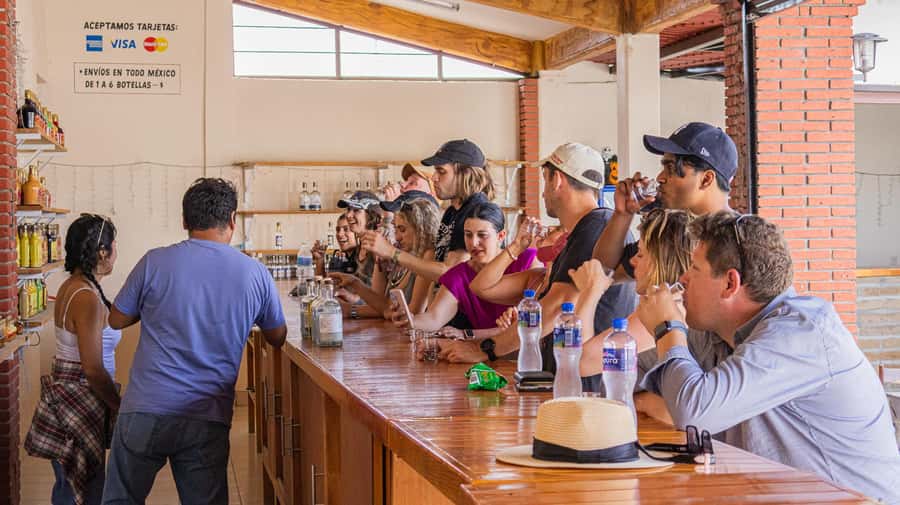 From Oaxaca de Juarez: Hierve el Agua and Mezcal Distillery - Who should book this Oaxaca day trip