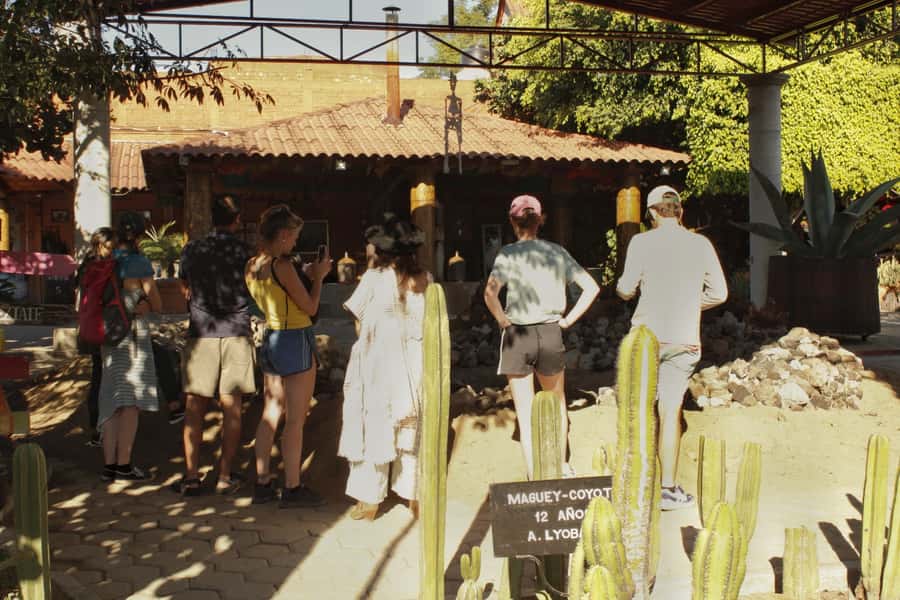 From Oaxaca de Juarez: Hierve el Agua and Mezcal Distillery - Walking above and below the petrified falls