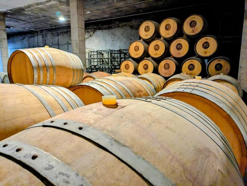 From Palma de Mallorca: Private Wine and Local Flavors Tour - Why Binissalem makes a good wine stop from Palma