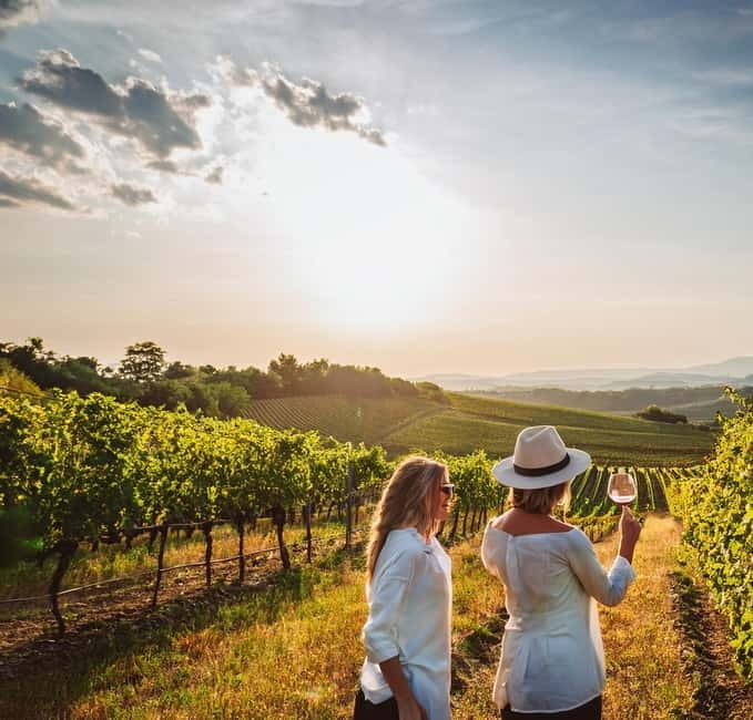 From Palma de Mallorca: Private Wine and Local Flavors Tour - Walking through the vineyard and winery