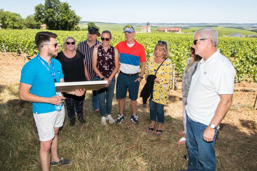 From Paris: Burgundy Region Winery Tour with Tastings - Key points at a glance