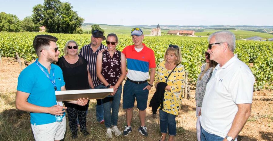 From Paris: Burgundy Region Winery Tour with Tastings - Lunch and a look at the town of Chablis