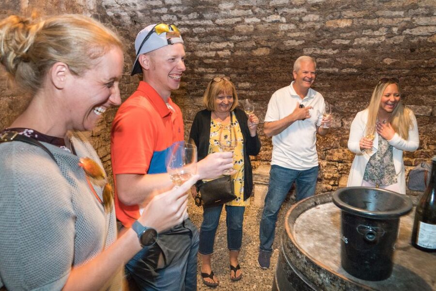 From Paris: Burgundy Region Winery Tour with Tastings - Is the $277 price fair?