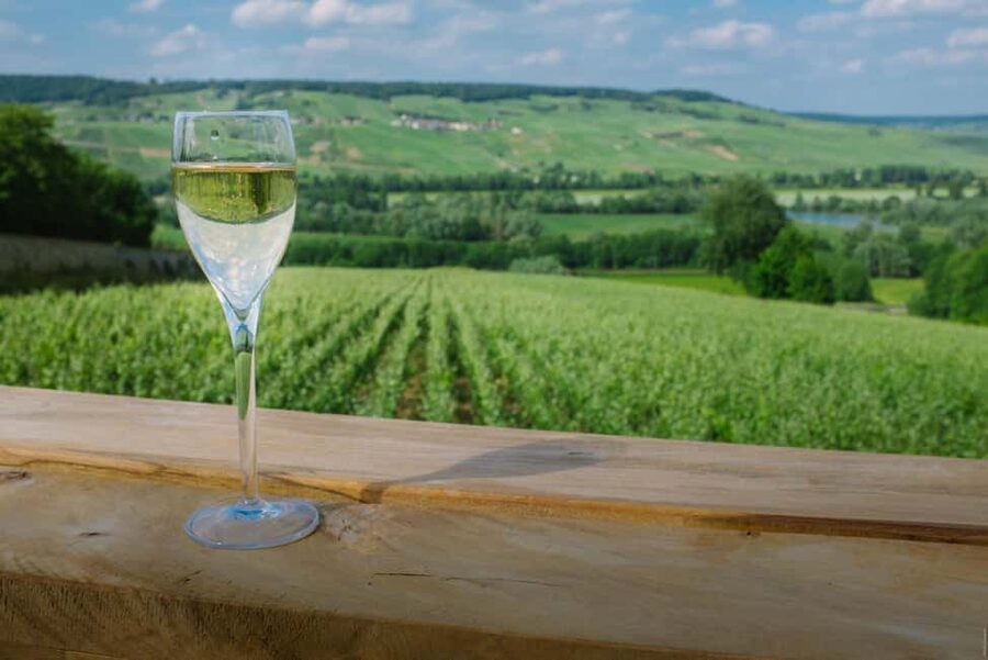 From Paris: Champagne Day Trip with 7 Tastings and Lunch - Seven tastings, and how to pace yourself