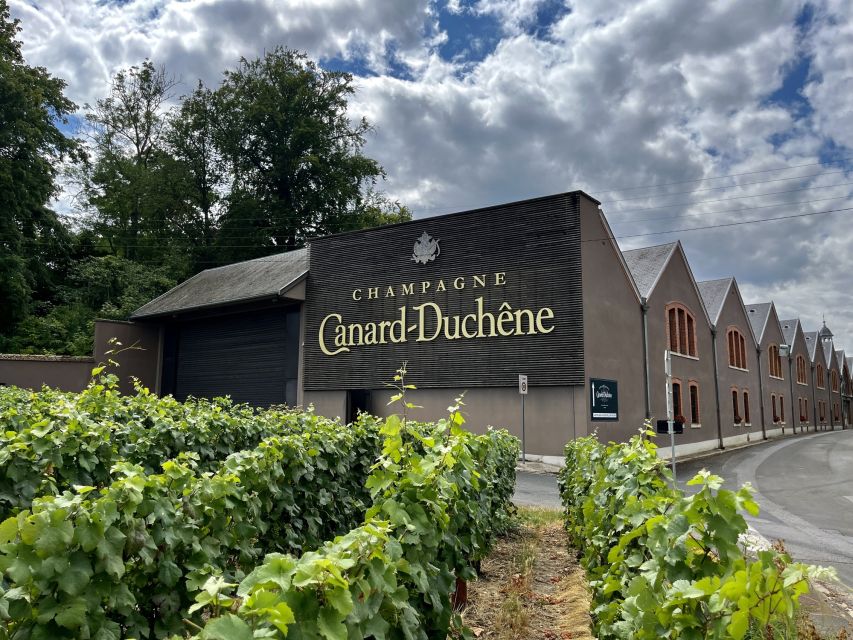 From Paris: Reims and Champagne Tasting Full-Day Tour - Who will enjoy this Champagne day trip?