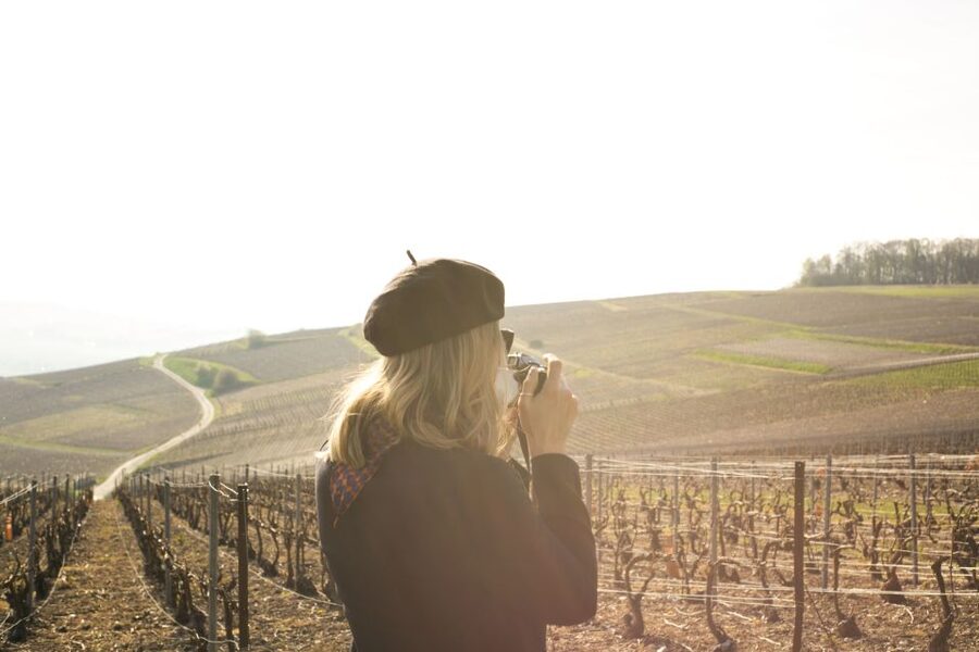 From Paris: Reims and Champagne Tasting Full-Day Tour - Meeting a smaller producer and tasting closer to the source