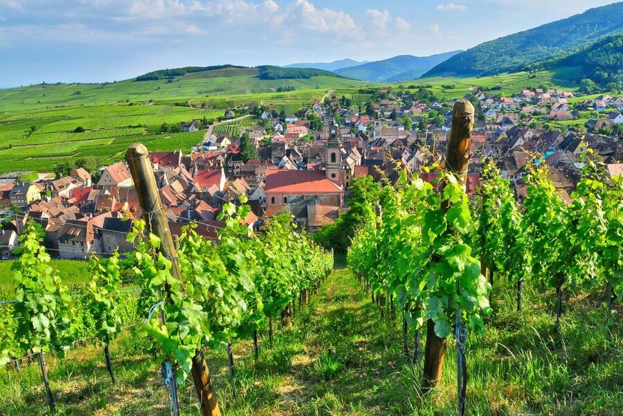 From Paris: Small-Group Champagne Day Trip with Six Tastings - Six tastings, and how to handle them