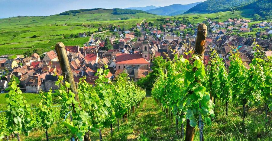 From Paris: Small-Group Champagne Day Trip with Six Tastings - Why this Champagne day trip works so well from Paris