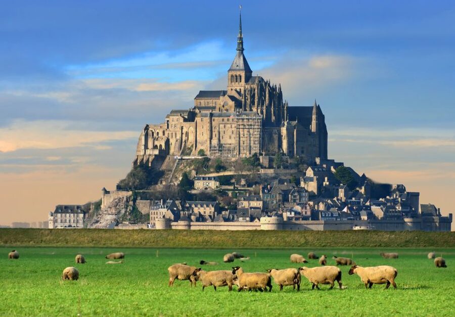 From Paris: Small-Group Mont St Michel Tour & Cider Tasting - Cider, Pommeau, and Calvados in Normandy