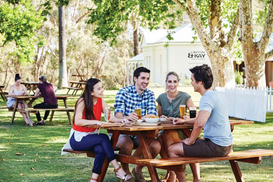 From Perth: Swan Valley Cruise, Winery, Cheese & Lunch - Who will get the most from this day