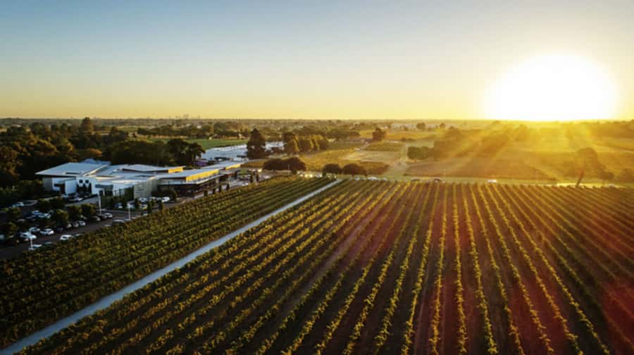 From Perth: Swan Valley Cruise, Winery, Cheese & Lunch - Morning tastings with a view of the Swan