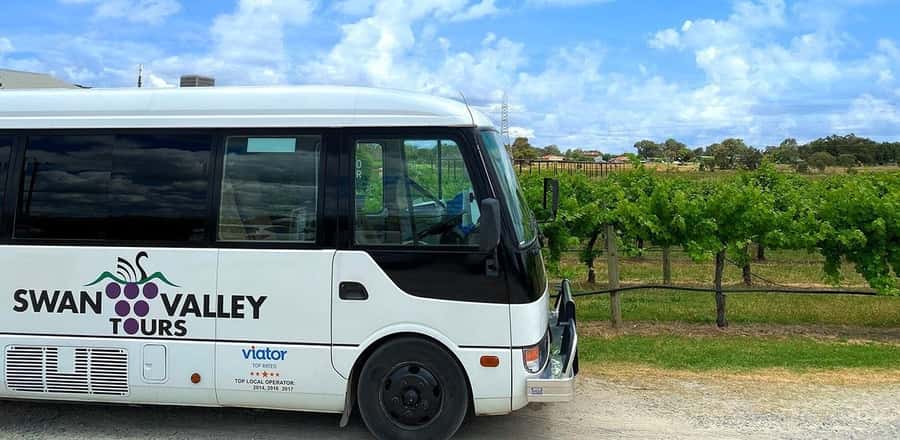 From Perth: Swan Valley Winery & Brewery Day Tour With Lunch - Why this Swan Valley day works so well