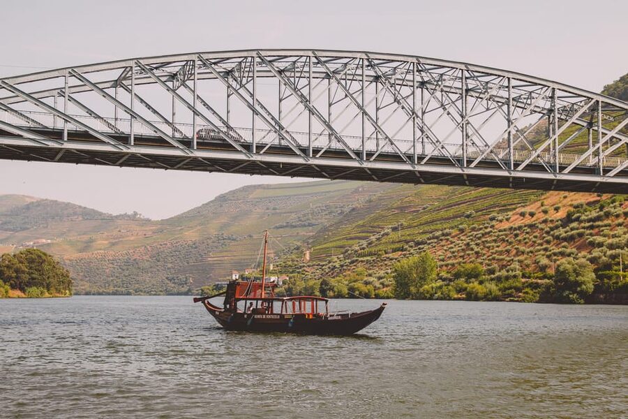 From Pinhão: Douro Valley Rabelo Boat Tour with Port Wine - Romaneira, Malvedos, and the long middle stretch