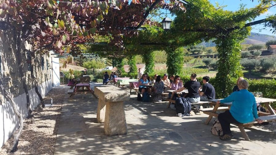 From Pinhão: Douro Valley Tour w/ Wine Tasting and Boat Trip - What the guides add to the outing