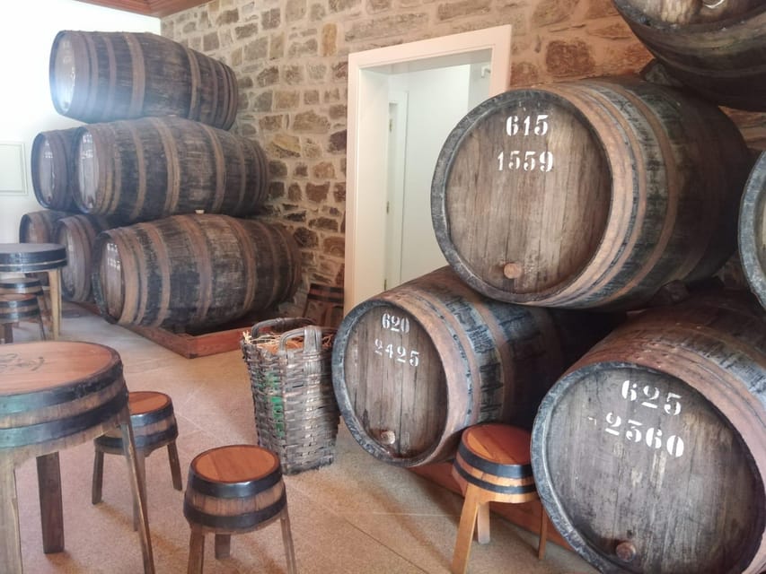 From Pinhão: Douro Valley Tour w/ Wine Tasting and Boat Trip - Timing, comfort, and accessibility