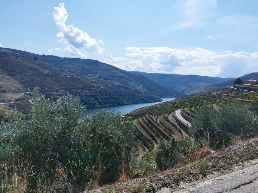 From Pinhão: Douro Valley Tour w/ Wine Tasting and Boat Trip - Who should choose this Pinhão tour?