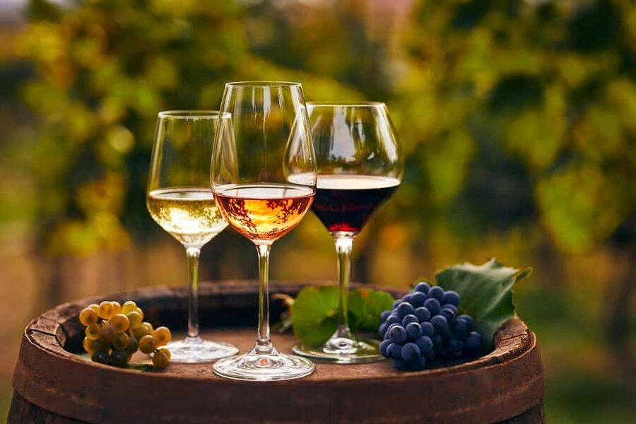 From Pompeii: Mount Vesuvius Wine Tasting and Lunch - Walking among vines on volcanic soil